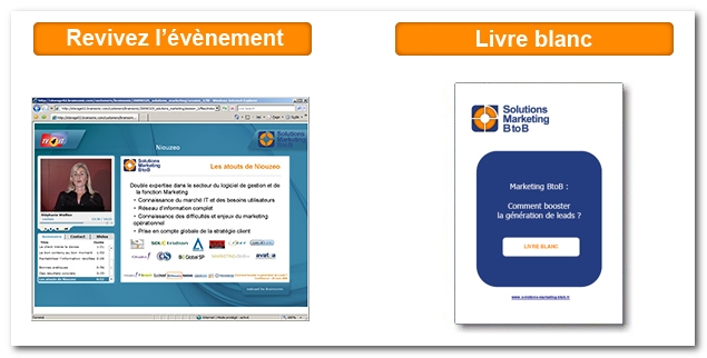 marketingbtob Webcast et Livre blanc Marketing BtoB