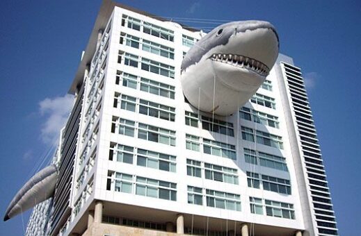 Discovery Channel Shark Week: enthusiasts are doing our marketing;