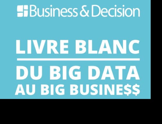 Livre blanc du Big Data au Big Business $$