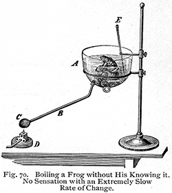 "BoiledFrog" by Arthurgcox - Own work. Licensed under CC BY-SA 3.0 via Wikimedia Commons - http://commons.wikimedia.org/wiki/File:BoiledFrog.png#mediaviewer/File:BoiledFrog.png