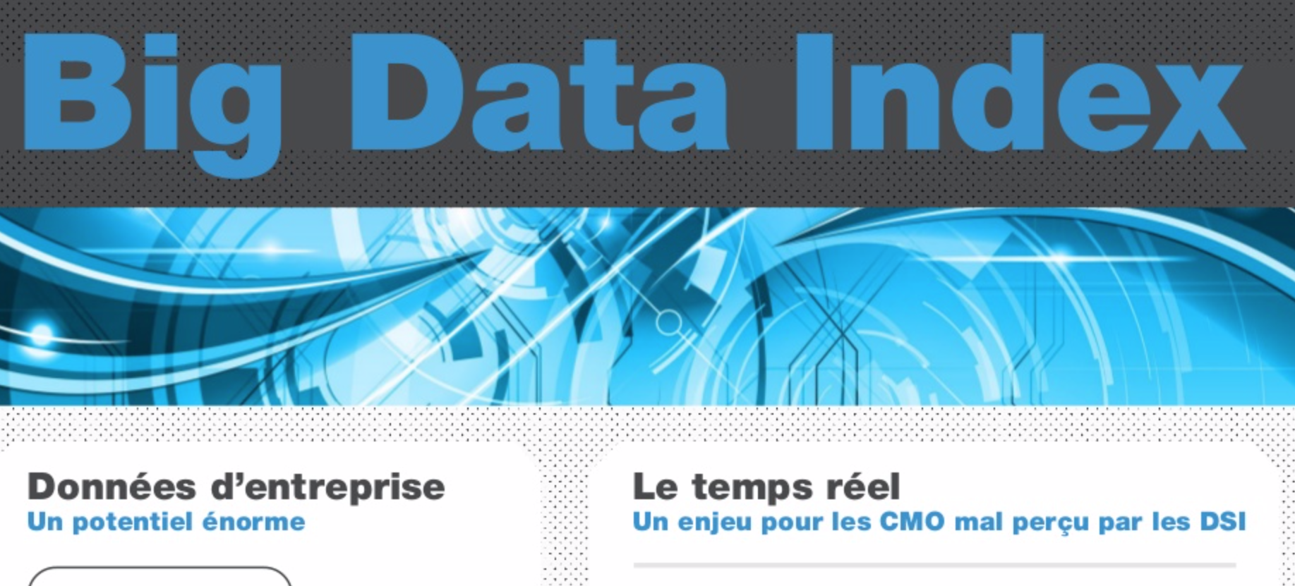 Big Data index