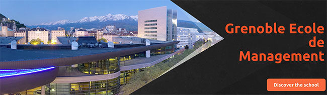 Grenoble - Digital Business Strategy - Social Business