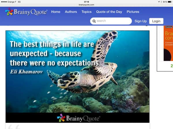 Elie-khamarov-2.png Elie khamarov - sea turtle