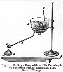 boiling frog syndrome- transformation