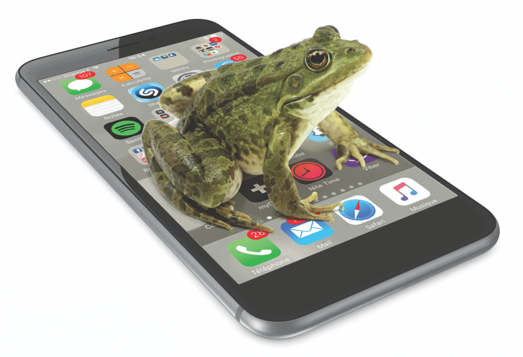 2015-12-08 Couv le-marketing-de la grenouille_Page_1 - copie