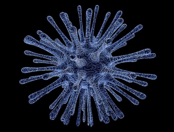 virus-infected-cells-213708_640.jpg PowerPoint est-il un virus ?