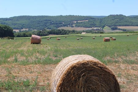 agriculture et digital