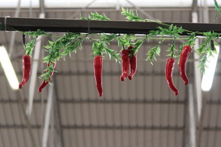 foodtech foodtech