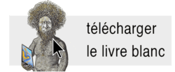 commercial du futur