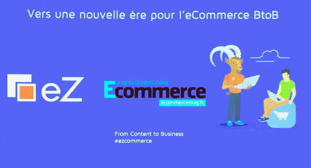 e-commerce B2B