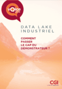 Le Data Lake expliqué à mon marketeur : pourquoi s'y intéresser