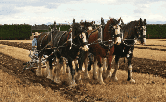 Marketeurs bourrins