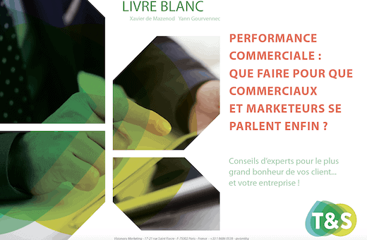 Fusion vente-marketing