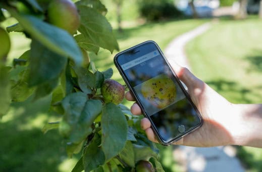 mobile device management