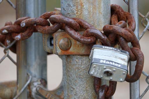 5 tips for enhancing your online content with images