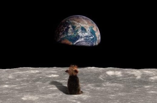Le monde réunit et contient tout dans son étreinte écrivain Cicéron. La vente complexe aussi. Voici comment bien la maîtriser