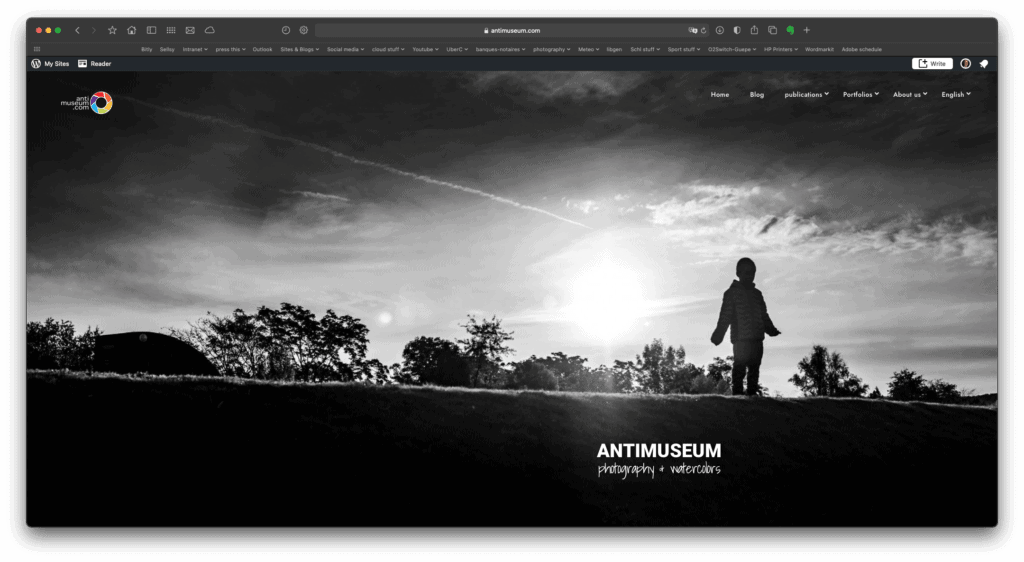 video interactive