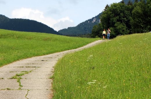 contenus chemin vert vente complexe