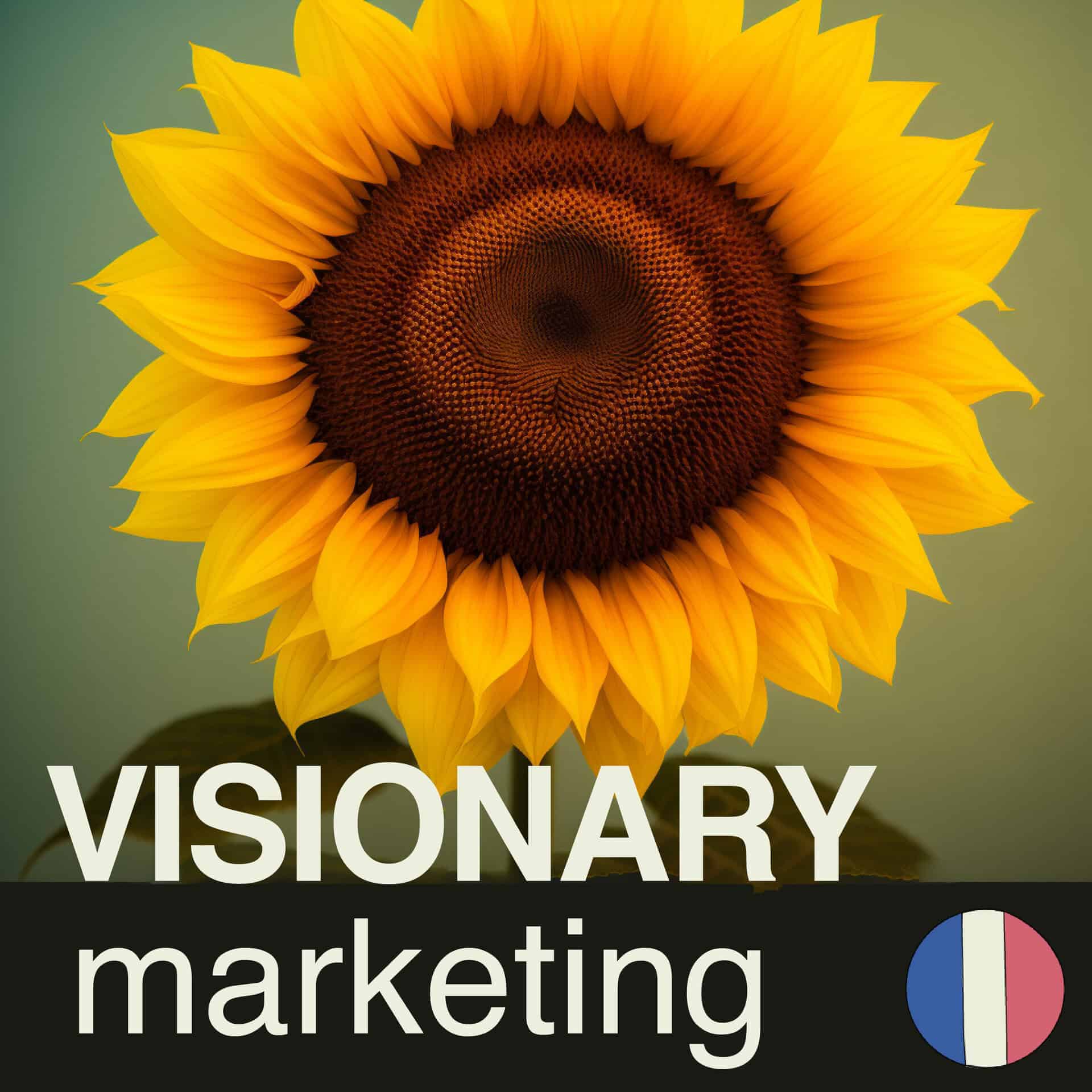 Les Podcasts de Visionary Marketing Les Podcasts de Visionary Marketing