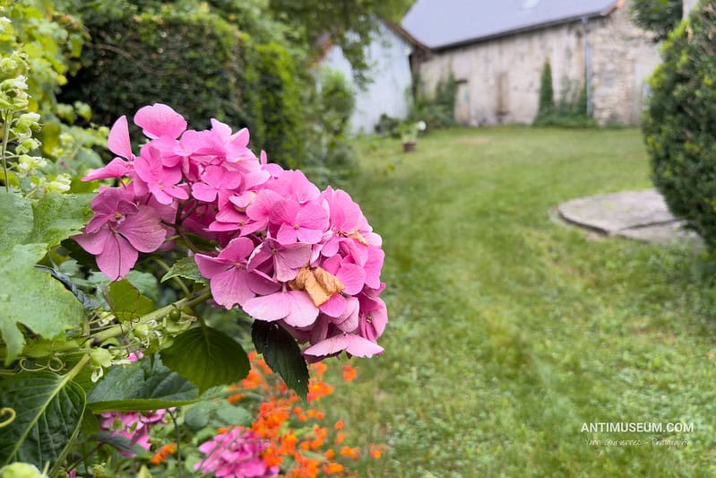 IA et photographie : menace et remède à la fois