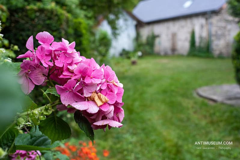 IA et photographie : menace et remède à la fois